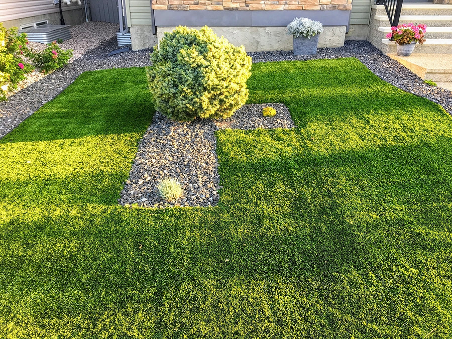 backyard's artificial grass with pebbles 